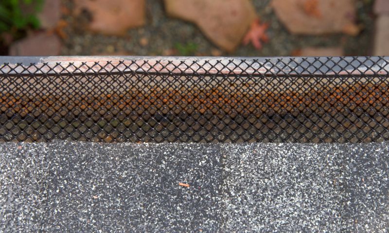 Gutter Guard Replacement in Arvada, CO