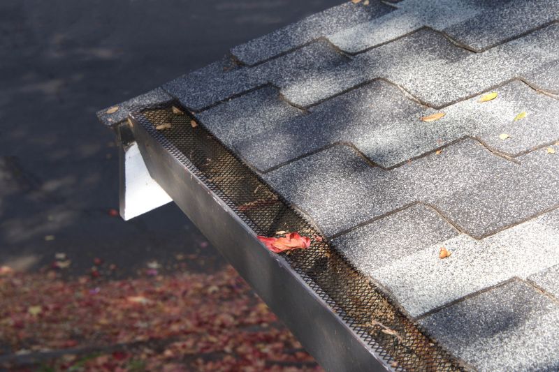 Prevents clogged gutter systems