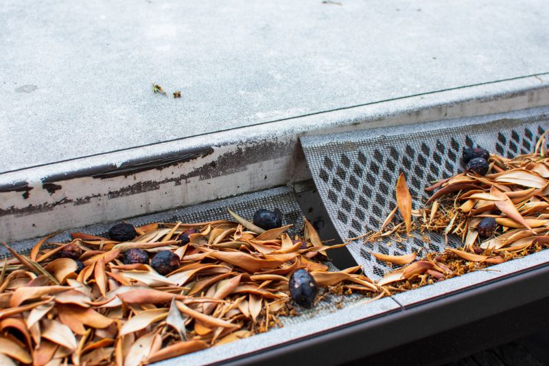 Gutter Mesh Installation in Sacramento, CA