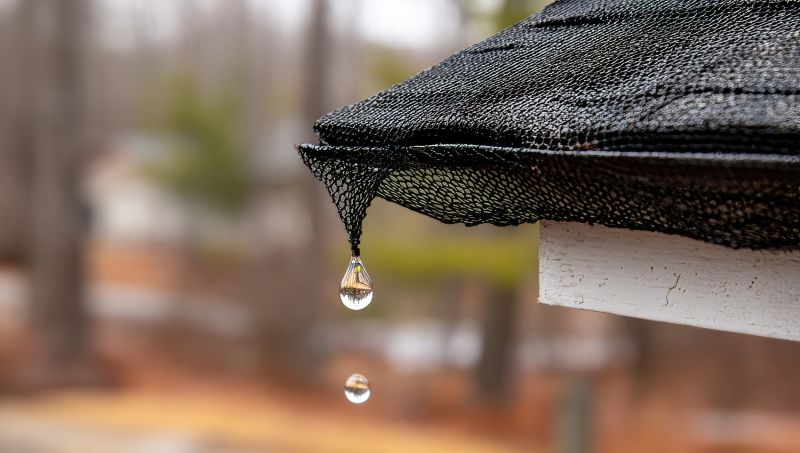 Gutter Mesh Installation in Arvada, CO