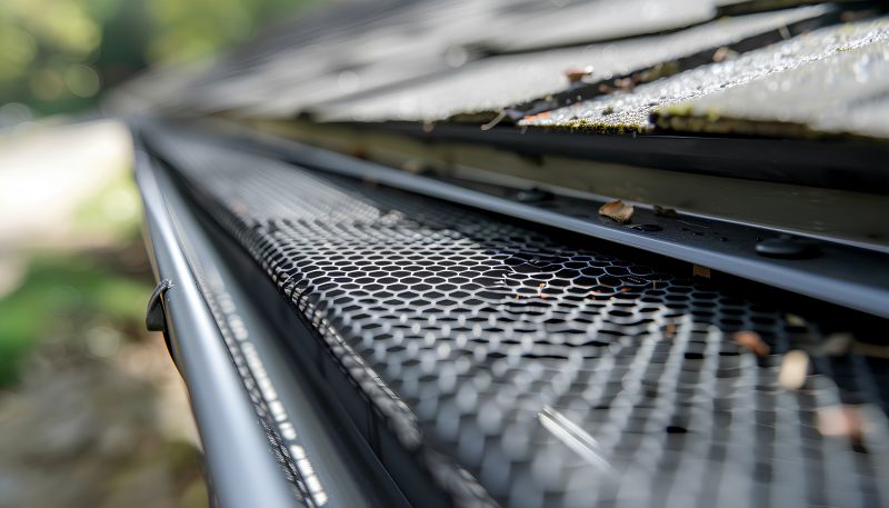 Gutter Screen Repair in Roseville, CA